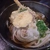 Honkakuteuchiudonarata - 料理写真:ぶっかけ天　冷