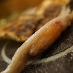 千春鮨 - 鮭児炙り