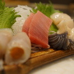 千春鮨 - おまかせ造り