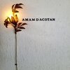 amam dacotan 表参道店