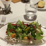 レフェルヴェソンス - 