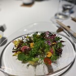 レフェルヴェソンス - 