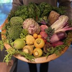 レフェルヴェソンス - 