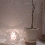 マンサルヴァ - 