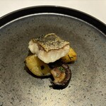 ヤマガタ サンダンデロ - 冬の庄内浜より