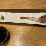 鮨処 竜敏 - 牡丹えび