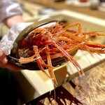 温石 - アカザエビ