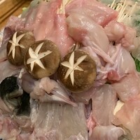 北新地 隼人 - 