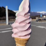 道の駅 田切の里 田切ふるさと市場 - 