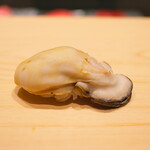 鮨 めい乃 - 長崎のカキを酢締めで。