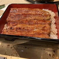 うなぎ 目白ぞろ芽 - 