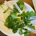 農家レストラン つみ菜カフェ うどんげ - 本日のお野菜