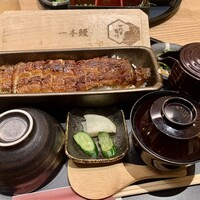 うなぎ四代目菊川 ミッドランドスクエア 名古屋本店 - 