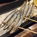 海鮮炙り屋 いぶき地 - 