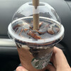 STARBUCKS COFFEE - 