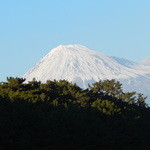 いちまる水産 - 三保の松原からの富士山