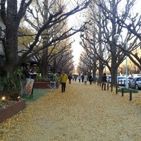 キハチ 青山本店 - イチョウ並木の目の前