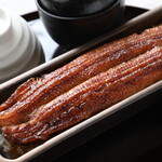 うなぎ四代目菊川 - 蒲焼き一本重