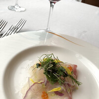XEX TOKYO / Salvatore Cuomo Bros. - 