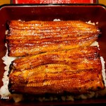 Unagi Hashimoto - 