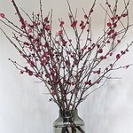 日本料理 TOBIUME - 