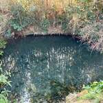 池内うどん店 - 