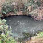 池内うどん店 - 