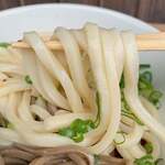 池内うどん店 - 