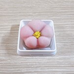 三省堂 - 上生菓子