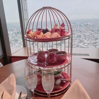 ジンジャーズビーチ サンシャイン - 