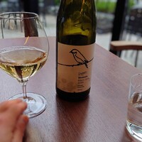 Bistro NOHGA  - 白ワイン 202402