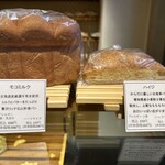 テーラ・テール - 