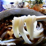 田舎うどん てつ - 2013年12月　うどん　アップ