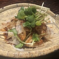 鳥ばか一代 - 