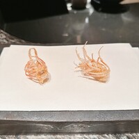 ひのきざか - 