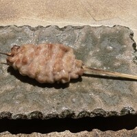 厳選焼鳥 一石三鳥 本店 - 
