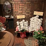 喫茶 ノスタルジア - オープンおめでとうの蘭々。