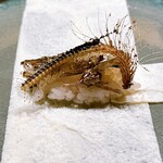 明寂 - いわしの骨等