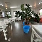 ガーリッシュ - 