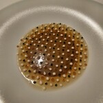 ブレストンコート ユカワタン - 