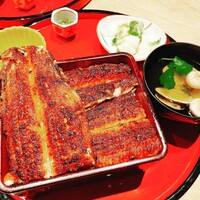 炭焼 うな富士 有楽町店 - 