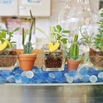 芳林堂 - お店様内です（2013/12/31UP）