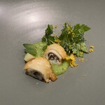 クイントカント - 