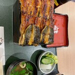 Unagi Kazutomo - 