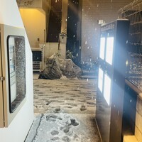 中国菜灯菜 - 