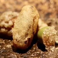 TOSAGE - 