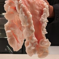 西院焼肉KINOE - 