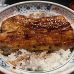 Unagi Idumi - 