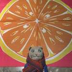 インド・パキスタン料理 アルバラカ - 