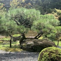 がんこ 高瀬川二条苑 - 